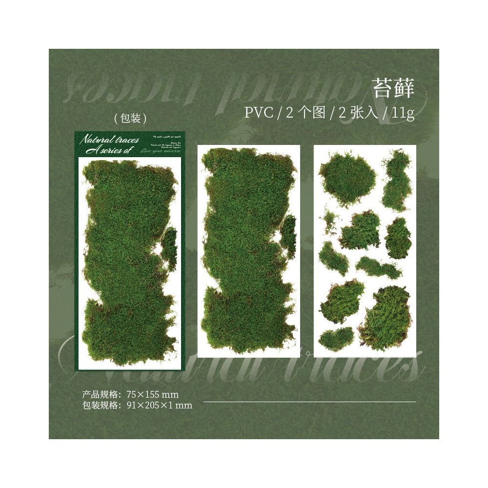 Transfer Stickers Natural Trace Series 2 Sheets 6 Styles - ViktaShop