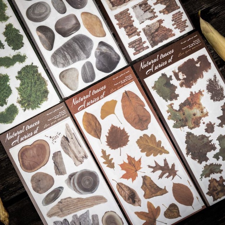 Transfer Stickers Natural Trace Series 2 Sheets 6 Styles - ViktaShop