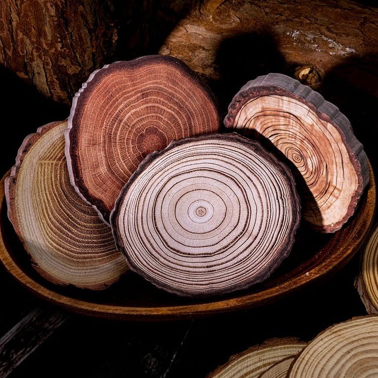 Tree Rings Series Paper Sticky Notes 4 Styles 60 pcs - ViktaShop