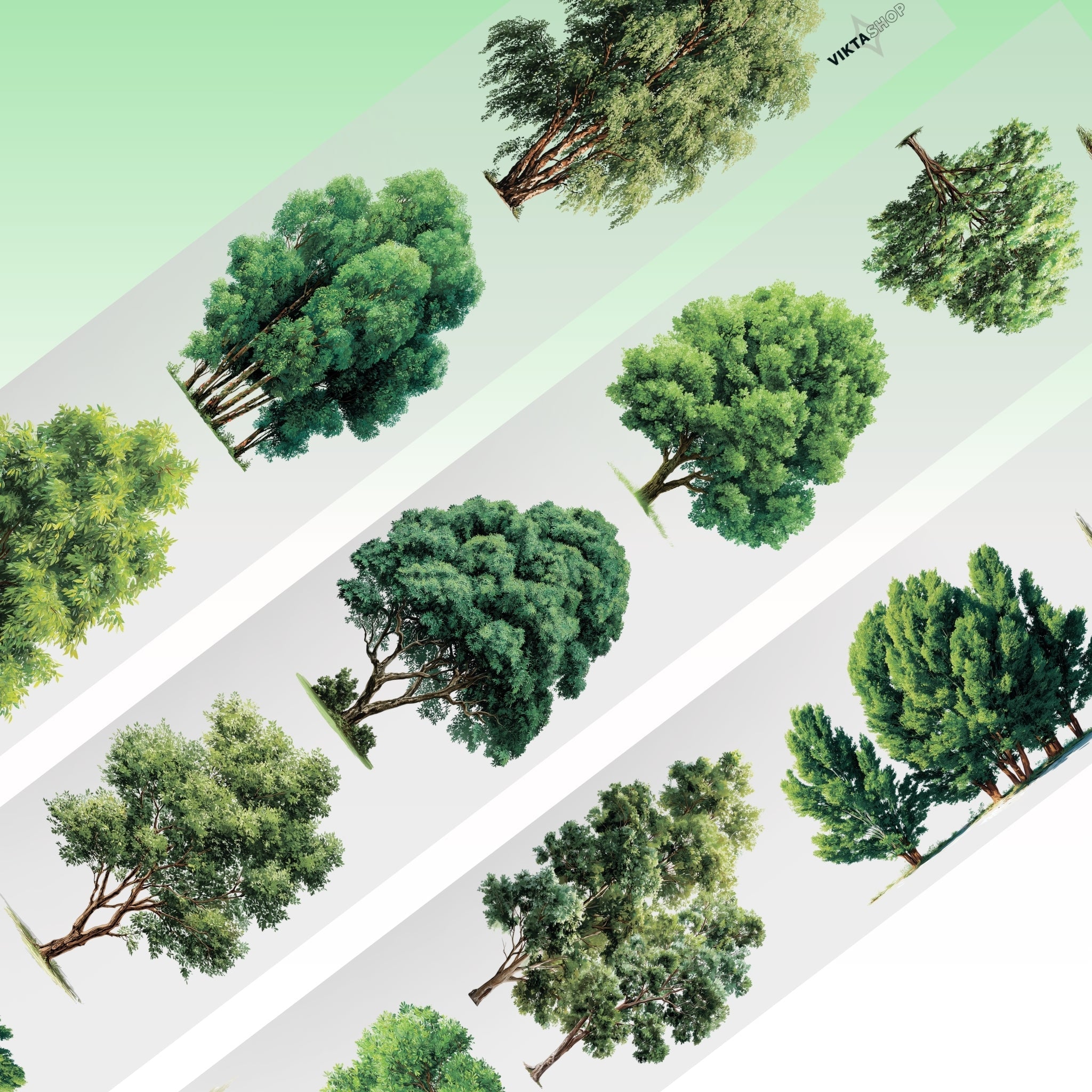 Viktashop deciduous Trees PET Tape 8cm x 125cm - ViktaShop