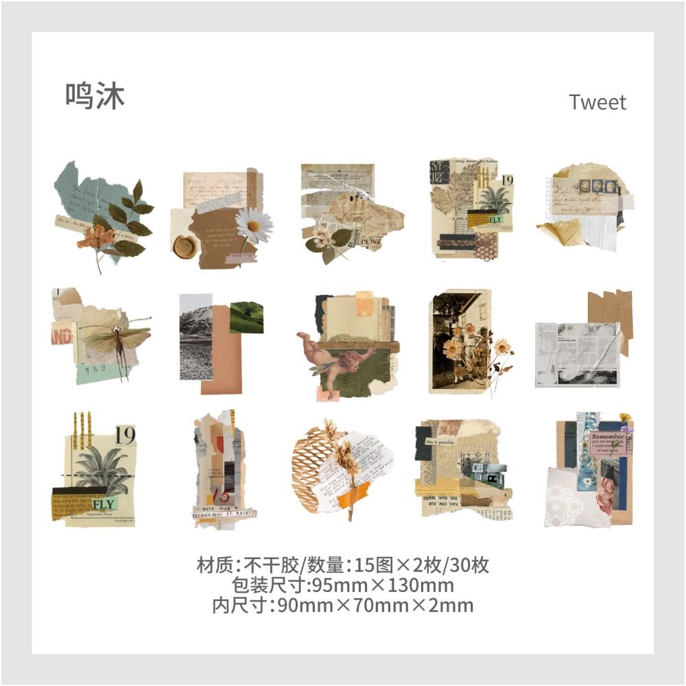 Vintage styler plant series Paper Stickers 6 Styles 30 Pcs - ViktaShop